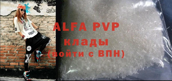 стафф Алексин