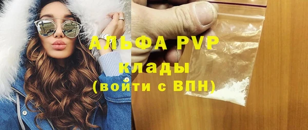 стафф Алексин