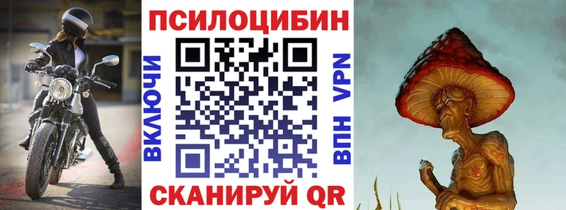 Псилоцибиновые грибы GOLDEN TEACHER  Боготол 